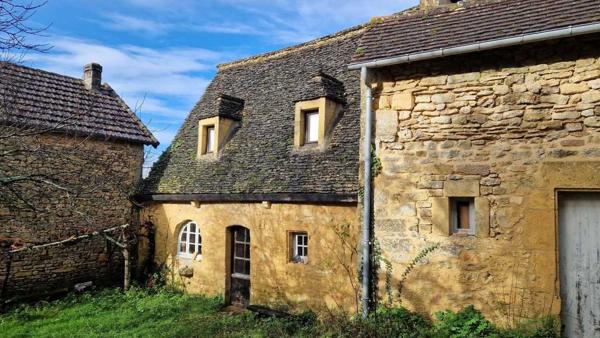 Maison ancienne - Les eyzies Charmante maison en pierres aux Eyzies avec jardin