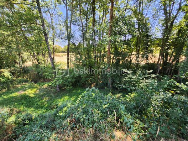 À vendre sur la commune de Ménigoute, découvrez ce terrain de 1 479 m², offrant un cadre naturel et de nombreuses possibilités d'aménagement.

La parcelle comprend 445 m² en zone constructible, idéale pour un projet de construction légère, un espace de loisirs ou de stockage.

Un garage de 18 m², construit en 2023 sur une dalle béton, est déjà présent sur la partie plane du terrain, constituant un véritable atout pour un futur projet.

Le reste de la parcelle est composé d'un espace naturel avec un ruisseau, deux coteaux arborés et une végétation préservée, offrant un environnement calme et verdoyant.

Le terrain bénéficie d'un accès individuel directement sur la route et se situe à l'arrière d'un bâtiment appartenant à la mairie.

À noter :

* Terrain de 1 479 m².
* Environ 445 m² constructibles.
* Garage de 18 m² construit en 2023.
* Accès privatif.
* Environnement naturel avec ruisseau.
* Réseaux (eau, électricité et tout-à-l'égout) non raccordés à ce jour.

Une belle opportunité pour un projet nécessitant un espace extérieur, un lieu de stockage ou un aménagement léger dans un environnement paisible.

À découvrir sans tarder ! Contactez-moi pour plus d'informations ou organiser une visite