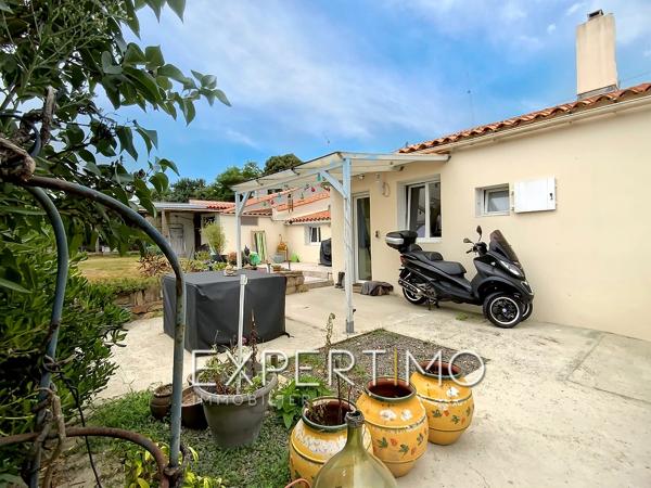 Sainte-Foy (85150) Maison en pierre T6 de 128 m² - 3 chambres - Terrain de 678 m² entièrement clôturé et ouvert sur la campagne