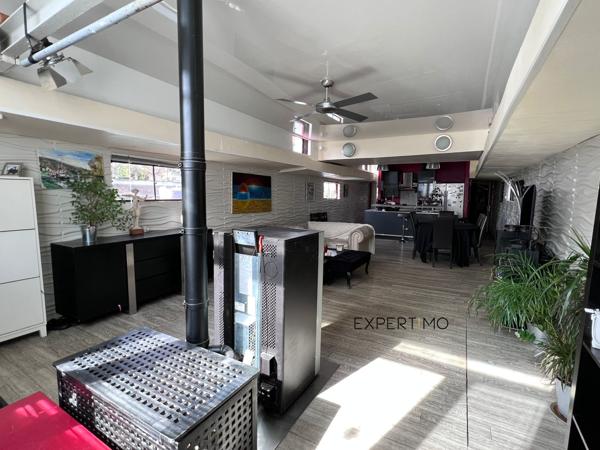 L'Île-Saint-Denis (93450) PENICHE LOGEMENT NAVIGABLE TYPE FREYCINET DE 150M² HABITABLES