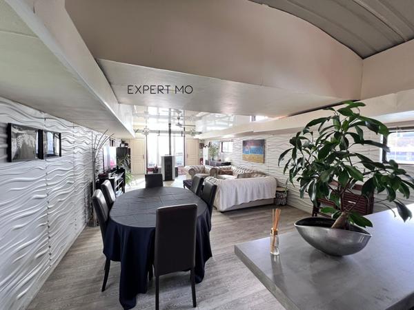 L'Île-Saint-Denis (93450) PENICHE LOGEMENT NAVIGABLE TYPE FREYCINET DE 150M² HABITABLES
