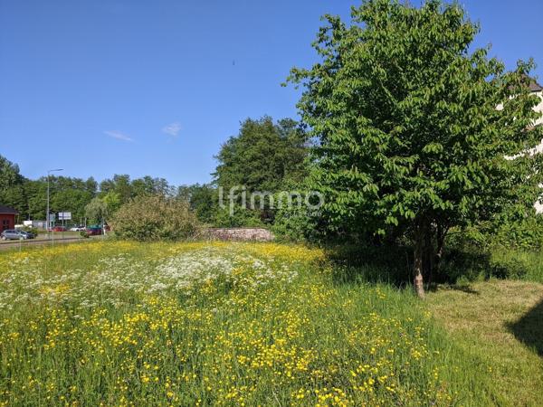 Terrain à bâtir 1372 m² Woerth