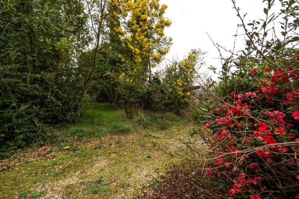 Un emplacement stratégique et un potentiel exceptionnel au cœur d’un secteur prisé d’Albi.