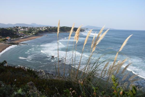 Vente / Appartement T2