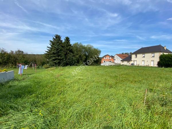 Terrain Longeville Les Saint Avold 1800 m2