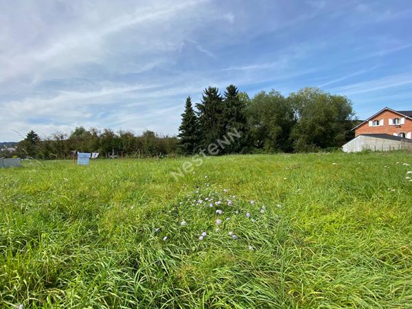 Terrain Longeville Les Saint Avold 1800 m2