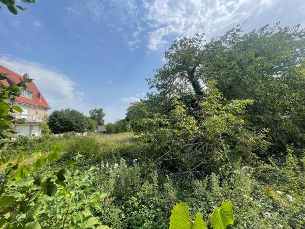 Terrain Chateau Renard 1638 m2