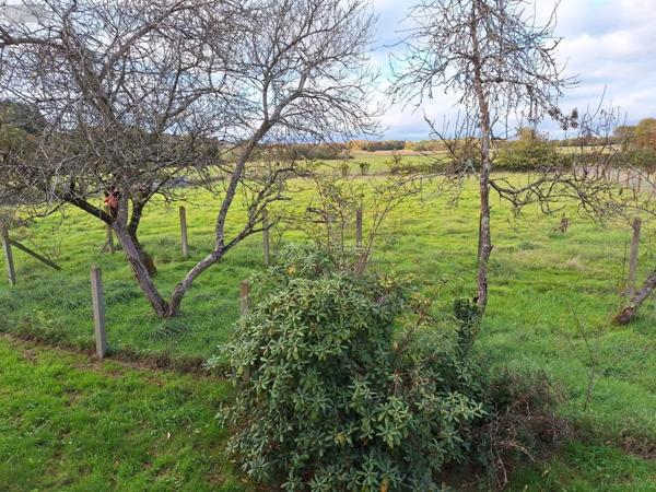 Maison à vendre à Mauron dans le Morbihan (56430), ref : 05921