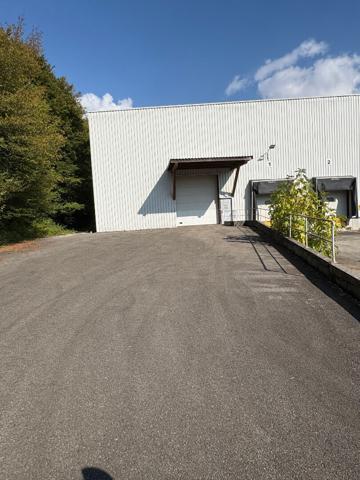 Entrepôt / local industriel Dampierre 3050 m2
