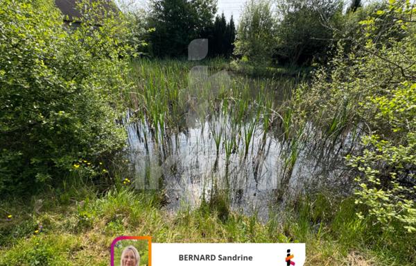 Superbe Longère aux portes de la Sologne sur la Commune de Chabris