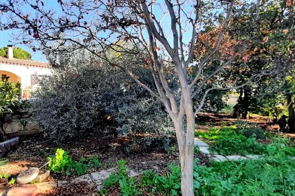 A vendre Propriété de 9,8 ha avec Maison et dépendances