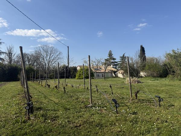 Bourg-de-Visa (82190) Bourg de Visa Domaine éco-responsable avec 4 habitations et activité locative sur 6 ha