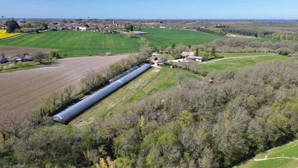 Bourg-de-Visa (82190) Bourg de Visa Domaine éco-responsable avec 4 habitations et activité locative sur 6 ha