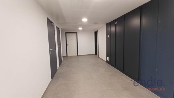 Appartement F2 neuf avec terrasse et jardin – Libre de suite – Bartenheim-La-Chaussée