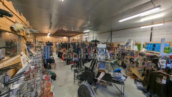 Dpt Calvados (14), à vendre FALAISE - Fonds de Commerce d'Armurerie, Chasse, Pêche et Apiculture