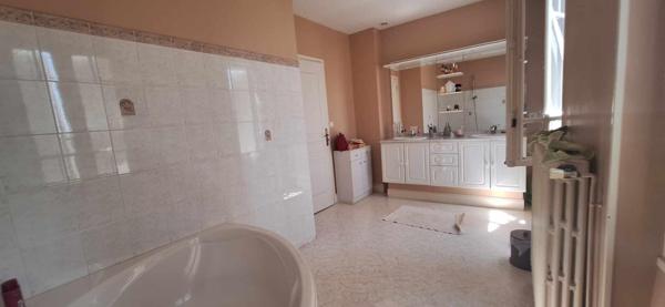 Proche centre ville Albi - Maison de Maitre - 12 pièces