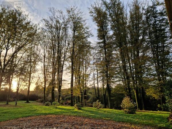 Maison à vendre à Kernascléden dans le Morbihan (56540), ref : 56075-2341