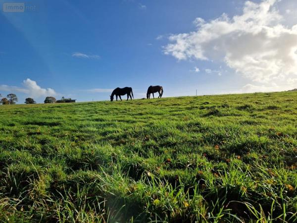Maison à vendre à Kernascléden dans le Morbihan (56540), ref : 56075-2341