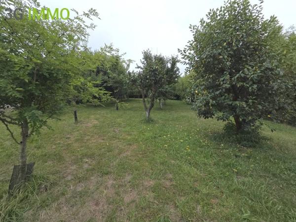 Vente / Maison T6+