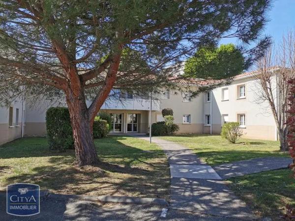 Location appartement 1 pièce de 34.35m²