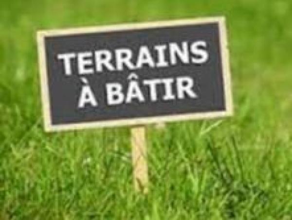 Terrain