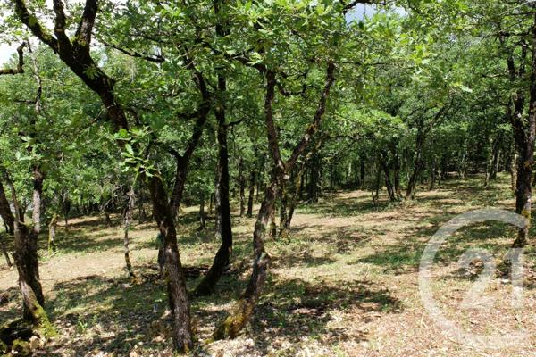 Terrain à vendre  3143 m2 CUZANCE - 46