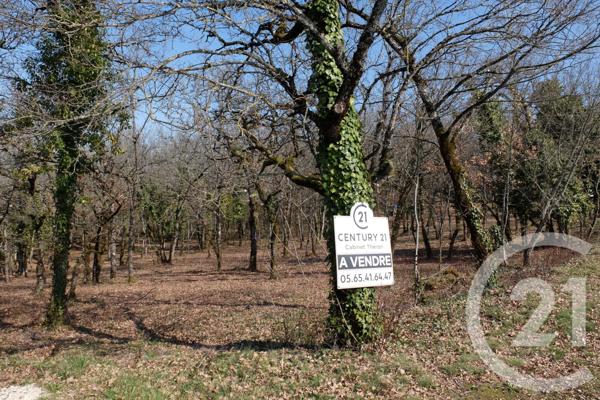 Terrain à vendre  3143 m2 CUZANCE - 46