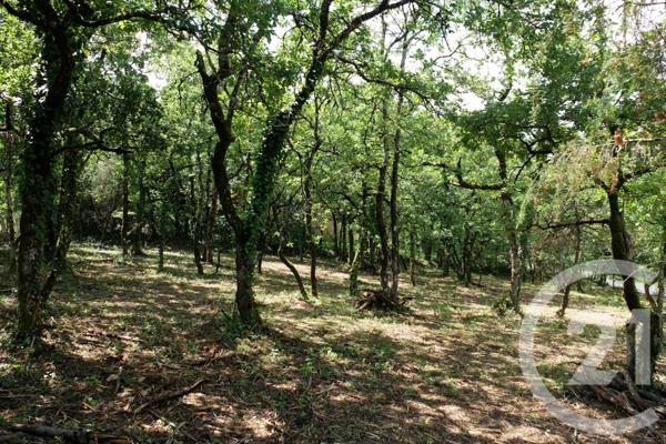 Terrain à vendre  3143 m2 CUZANCE - 46