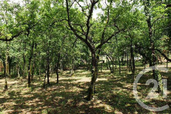 Terrain à vendre  3143 m2 CUZANCE - 46