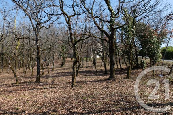 Terrain à vendre  3143 m2 CUZANCE - 46