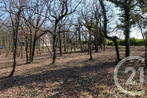 Terrain à vendre  3143 m2 CUZANCE - 46