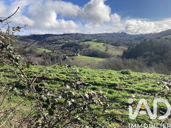 Terrain à vendre 1 447 m² Lostanges
