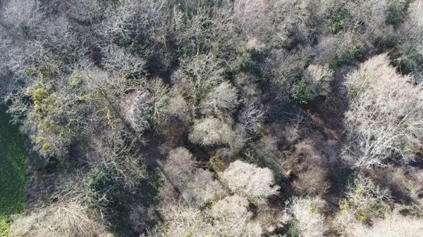 Terrain à bâtir proche du marché de Piégut-Pluviers