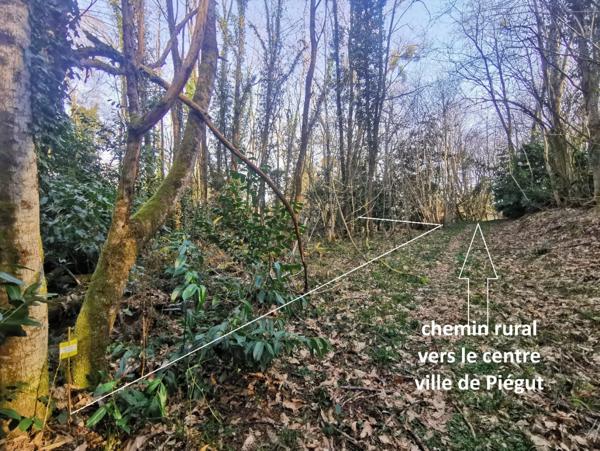 Terrain à bâtir proche du marché de Piégut-Pluviers