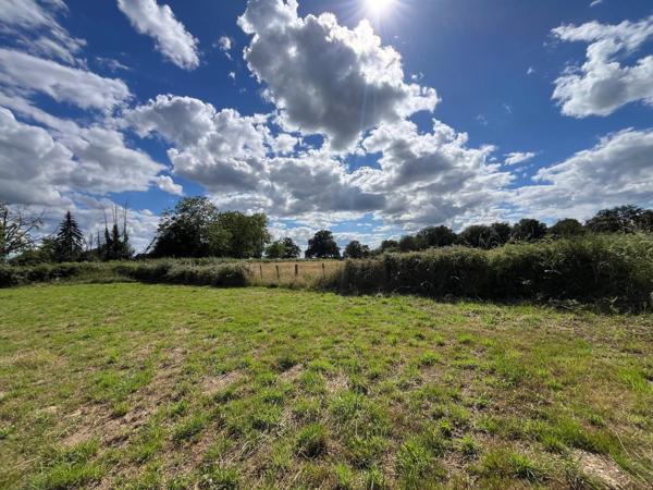 EXCLUSIVITÉ – Terrain à bâtir de 1 900 m² à Fontenay