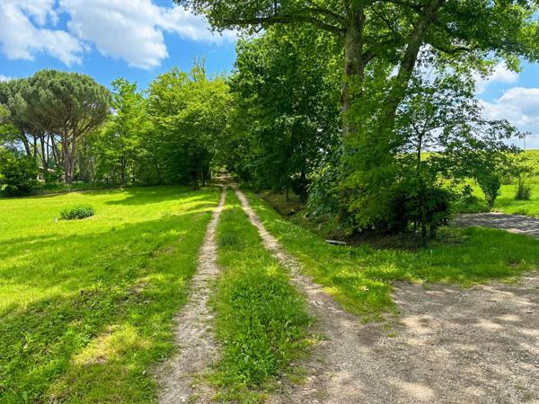 Dpt Gers (32), à EAUZE (32) terrain à vendre de 4586 m2