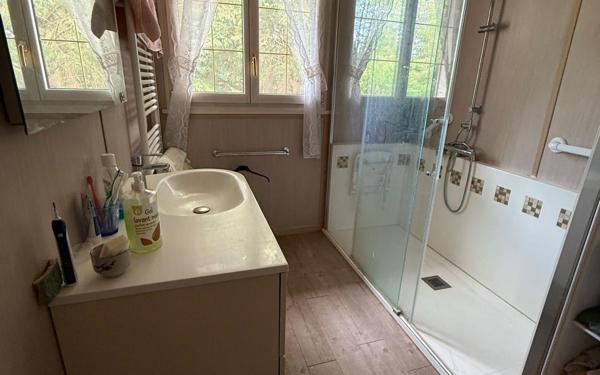 Maison à vendre    6 pièces •  Saint-Denis-en-Val