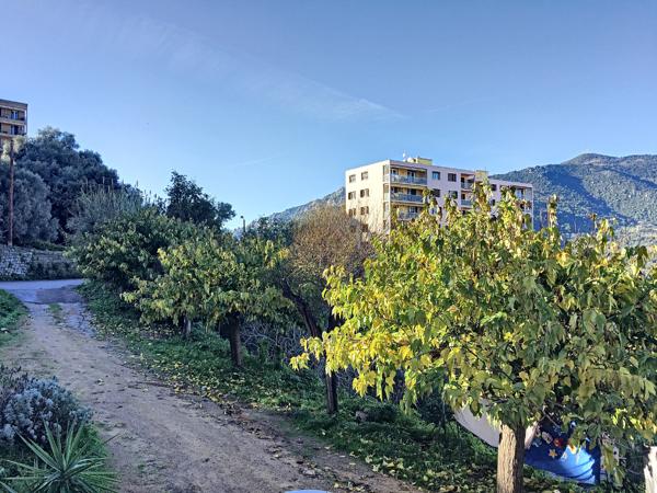 Appartement Ajaccio - Studio - 30 m² - Route du Vittulo - Parking - Vue dégagée