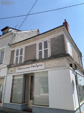 Immeuble de rapport à vendre à Châtillon-sur-Indre dans l'Indre (36700), ref : 1046505