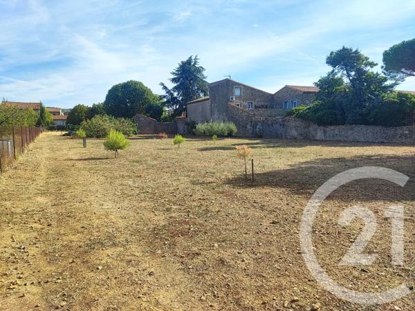Terrain à vendre  947 m 2   TRAUSSE  - 11