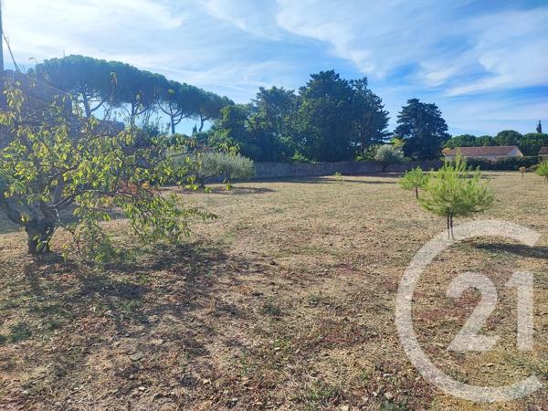 Terrain à vendre  947 m 2   TRAUSSE  - 11
