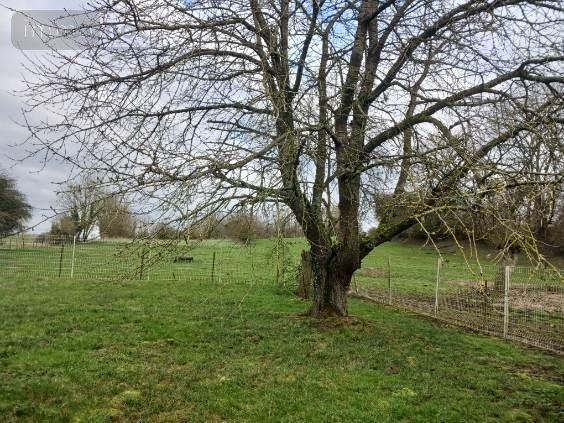 Maison à louer à Berles-au-Bois dans le Pas-de-Calais (62123), ref : 62135-L1139