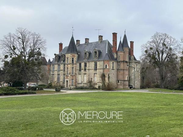 Château à Vierzon