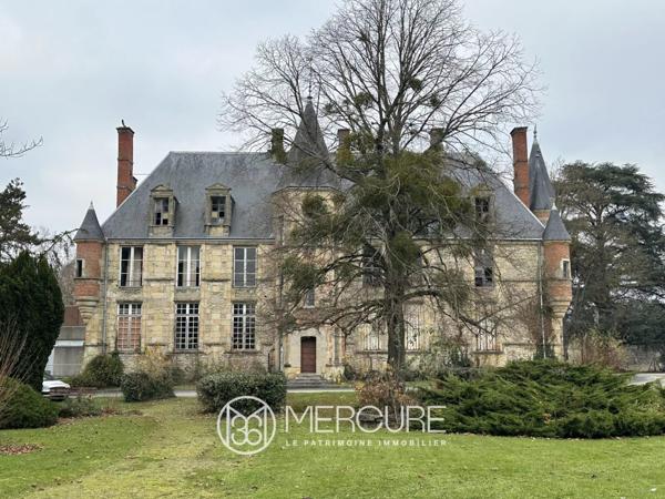 Château à Vierzon
