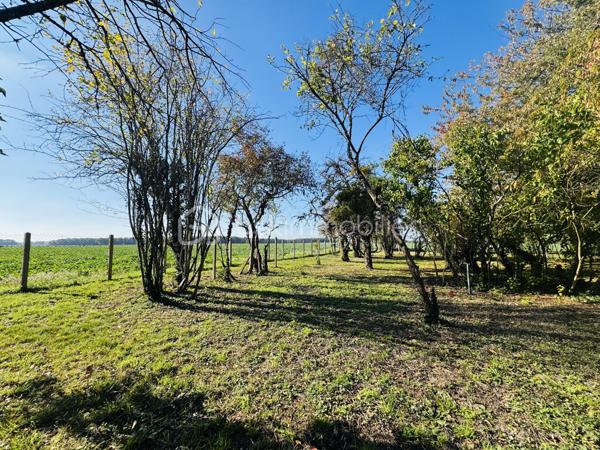 Maison ancienne de 170 m²