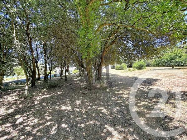 Maison à vendre  9 pièces - 212 m 2   LA TURBALLE  - 44