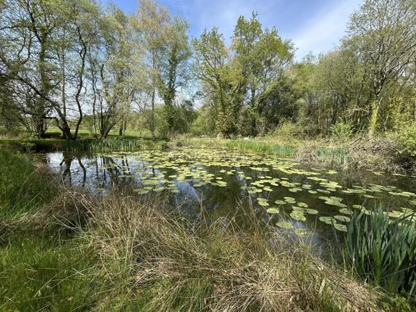 Vente Maison 7 pièces 235 m2 à Loudéac
