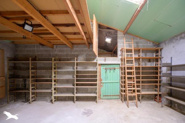 Maison à vendre |                                       Saint-Xandre |                                        9 pièces  |  204 m²