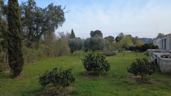 Santa-Maria-Poggio (20221) Maison T3 avec jardin proche plage