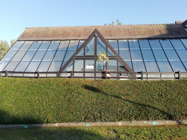 Deauville (14800) Coup de ceur